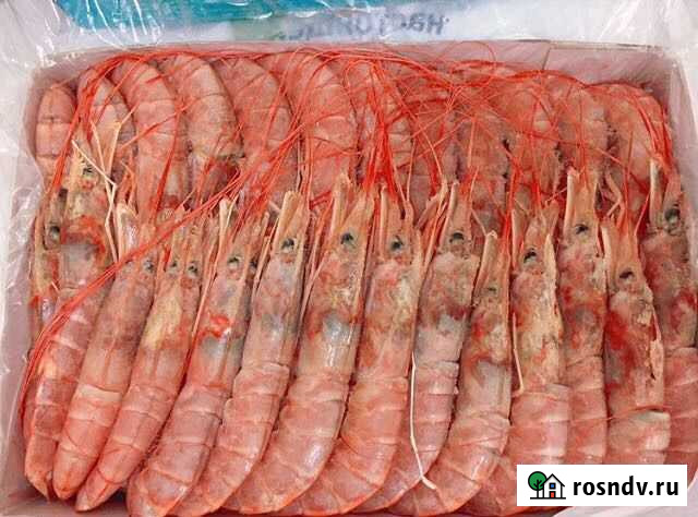 Лангустины L2 размер Динская - изображение 1