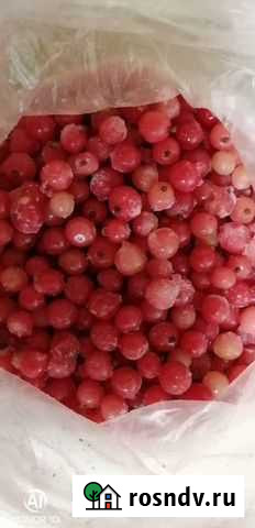 Красная смородина Сыктывкар - изображение 1