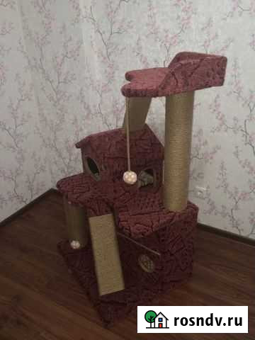 Домики, комплексы и когтеточки для кошек Анапа - изображение 1