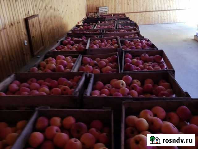 Яблоки Анзорей - изображение 1