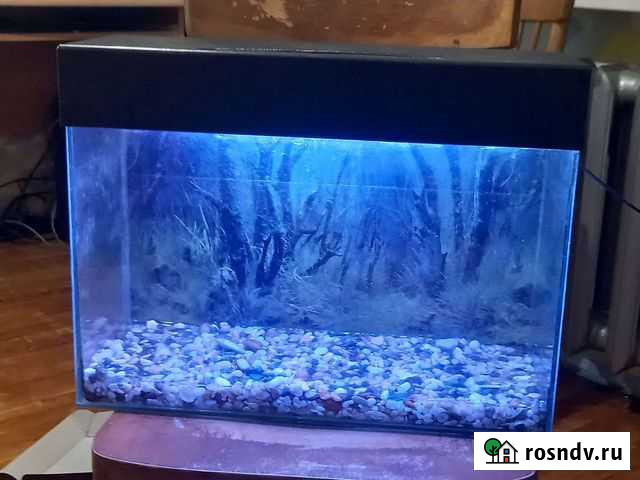 Аквариум Пенза - изображение 1