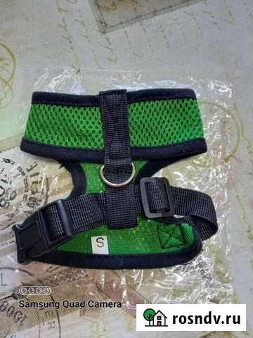 Шлейка для собачки и кошки Шебекино - изображение 1