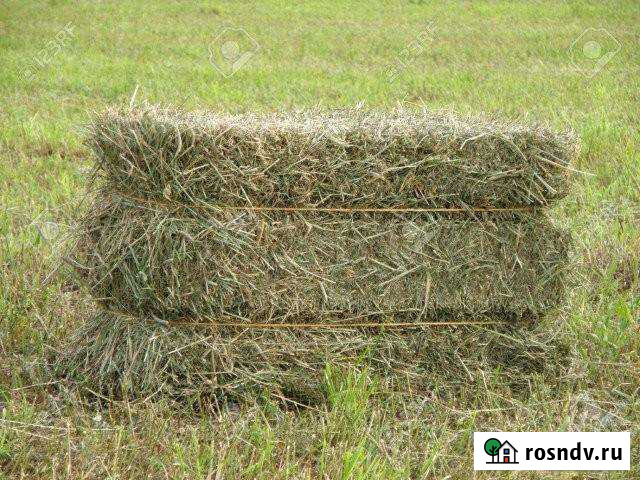 Сено Прокопьевск - изображение 1