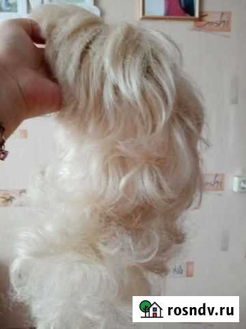 Парик Прокопьевск - изображение 1