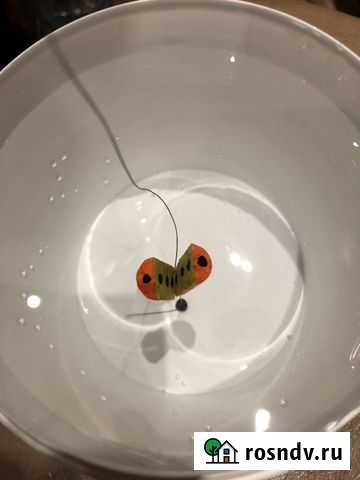 Зимний поплавок,Цветок’’ Электросталь - изображение 1