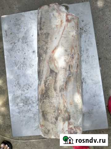 Треска бг L 24 кг Зима - изображение 1