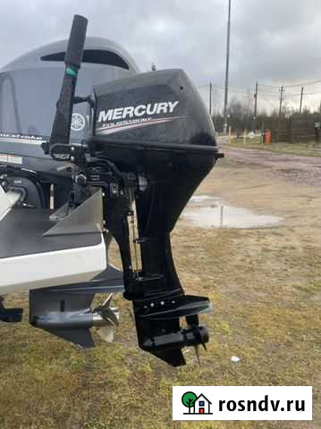 Лодочный мотор mercury F 9.9 MLH CT Старая - изображение 1