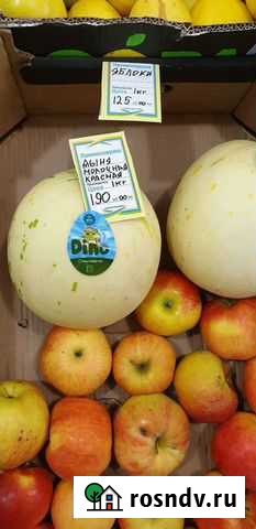 Дыня молочная вкусная,с доставкой до дверей Тосно - изображение 1