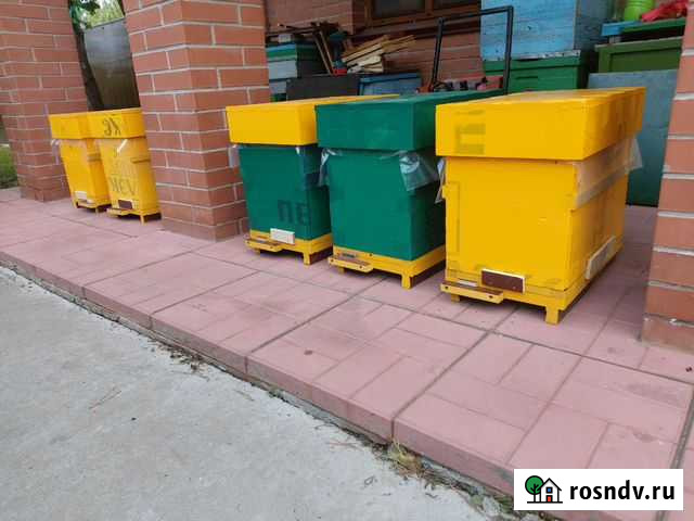 Продаются пчелосемьи, пчелопакеты Бронницы - изображение 1