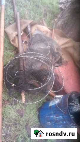 Сачки рыба СССР Кущевская - изображение 1