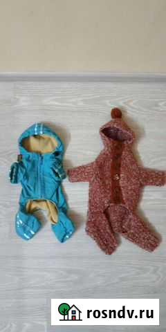 Одежда для маленьких собак Абинск - изображение 1