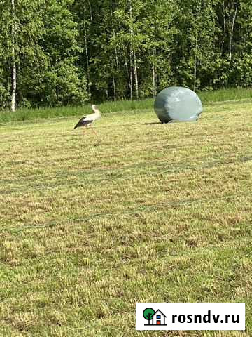 Сенаж Спас-Деменск - изображение 1