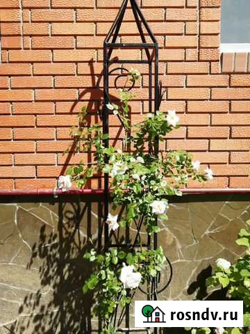 Подставка для плетистой розы Чехов - изображение 1
