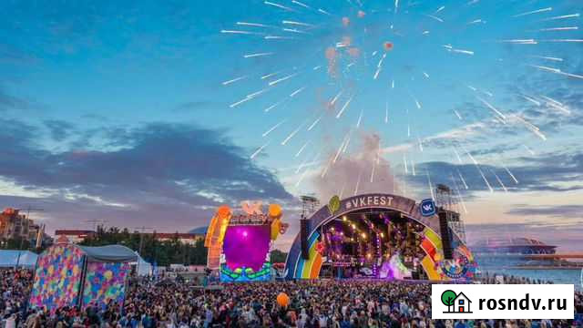 VIP Билет на вк фест Санкт-Петербург - изображение 1