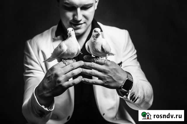 Фокусник Иллюзионист Ростов-на-Дону - изображение 1