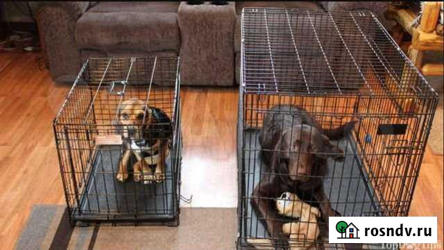 Клетка вольер клетка для собак Златоуст - изображение 1