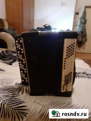 Баян Вязьма - изображение 1