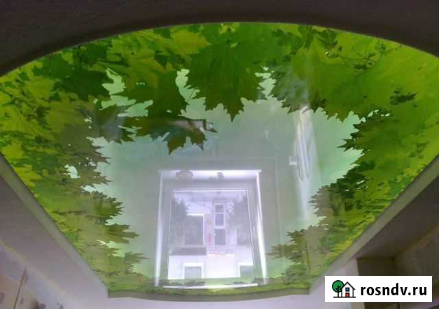 Натяжные потолки Ро4 Оренбург - изображение 1