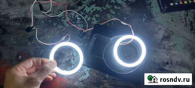 Ангельские глазки Караваево - изображение 1