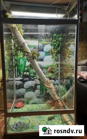 Террариум 140/80/68 Раменское - изображение 1
