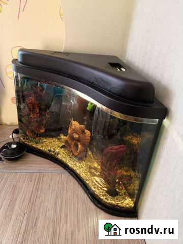 Аквариум Снежинск - изображение 1