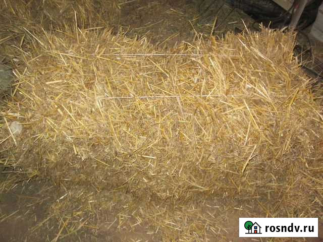 Солома Старый Оскол - изображение 1