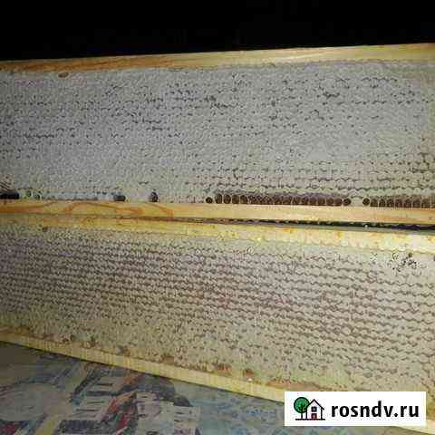Мёд сотый Домодедово