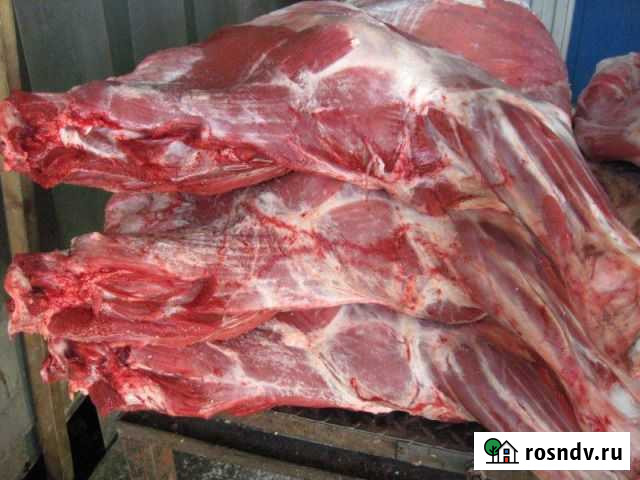 Мясо говядина Усть-Ордынский - изображение 1
