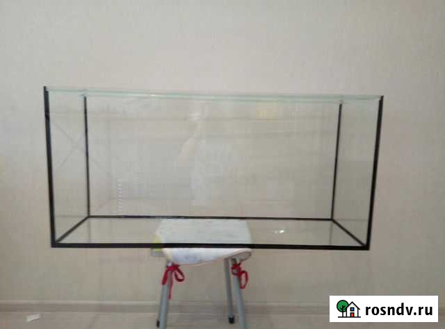 Аквариум Оренбург - изображение 1