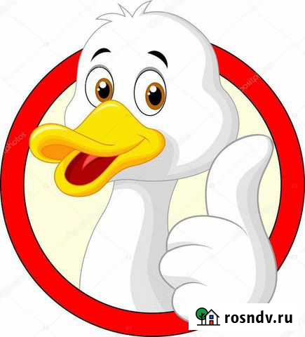 Вывоз мусора Будённовск - изображение 1