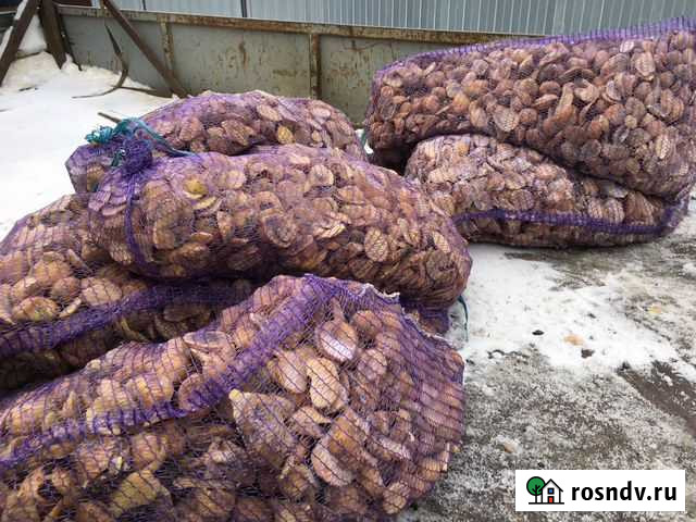 Продам картофель для скотины Пущино - изображение 1