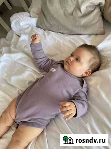 Боди Мурино - изображение 1