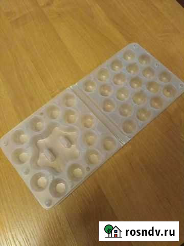 Перепелиная ячейка Черноголовка - изображение 1