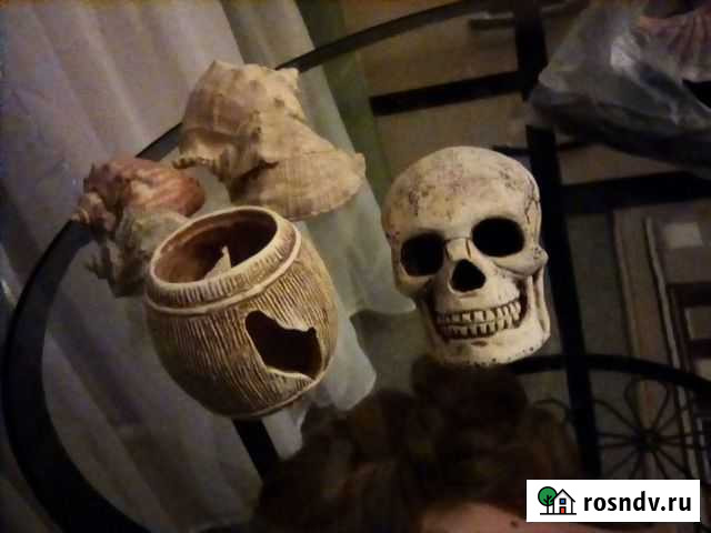 Аксессуары для аквариума (декор) Оренбург - изображение 1