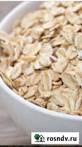 Геркулес Березовка - изображение 1