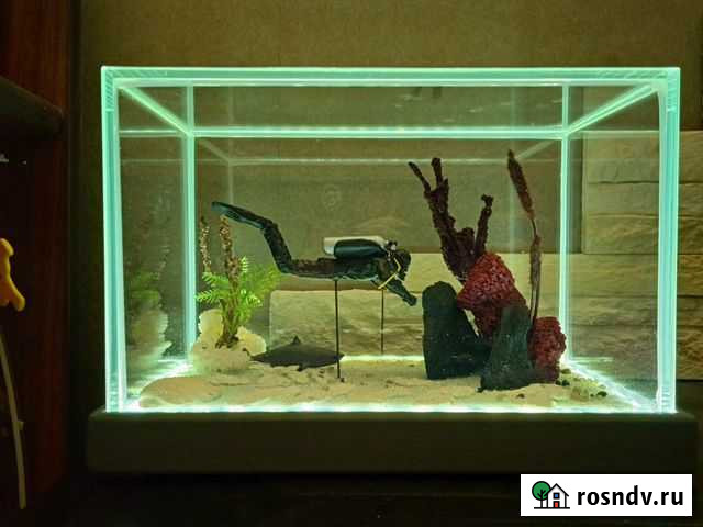 Диорама с дайвером Санкт-Петербург - изображение 1