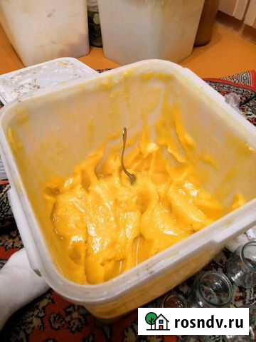 Майский, Каштановый, цветочный Мёд 2020года Рыбинск - изображение 1