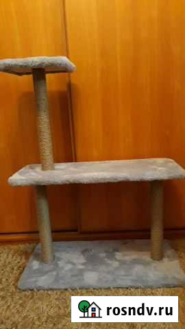 Когтеточка Чайковский - изображение 1