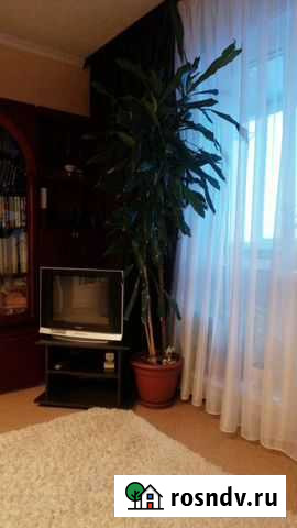 Драцена Ульяновск - изображение 1