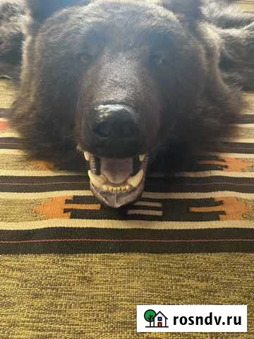 Шкура медведя имитация Новокузнецк - изображение 1
