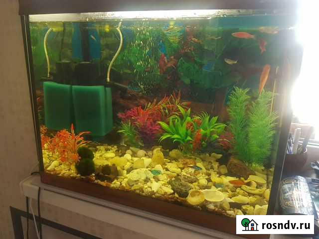 Аквариум 60 литров (состояние нового) Коммунарка - изображение 1