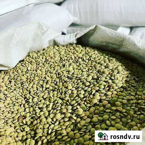 Зелёная чечевица Стерлитамак - изображение 1