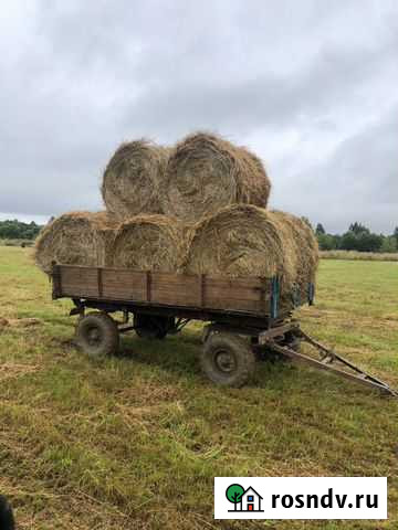 Продам сено Волоколамск - изображение 1