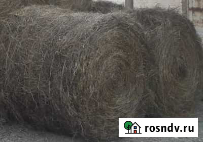 Сено Кумыш - изображение 1