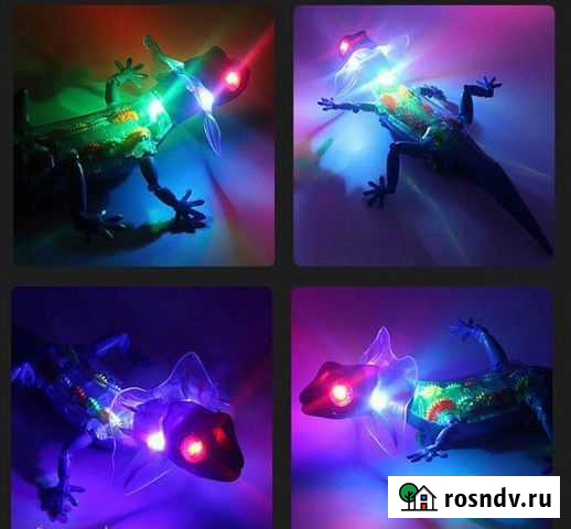 Робот ящерица Курск - изображение 1