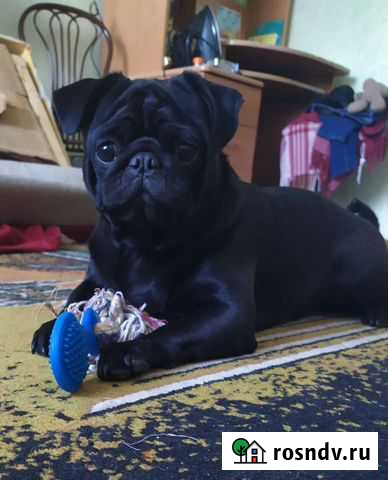 Вязка Благовещенск - изображение 1