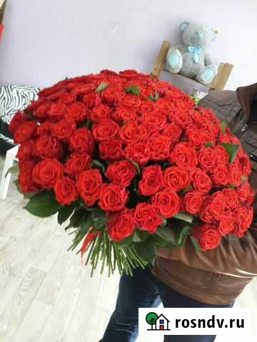 101 красная роза Казань - изображение 1
