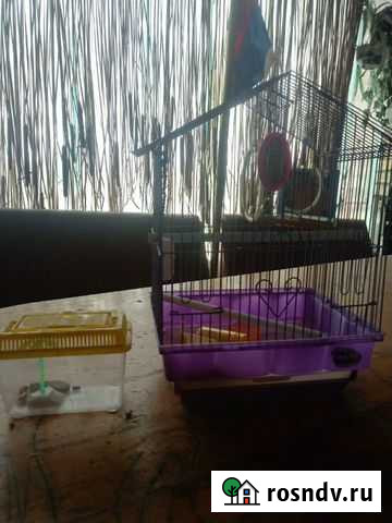 Террариум Брюховецкая - изображение 1