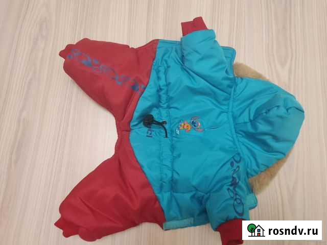 Комбинезон для маленькой собаки Пенза - изображение 1