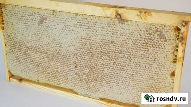 Сотовый мёд Новый Оскол - изображение 1